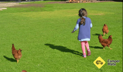 Colac Otway Caravan & Cabin Park