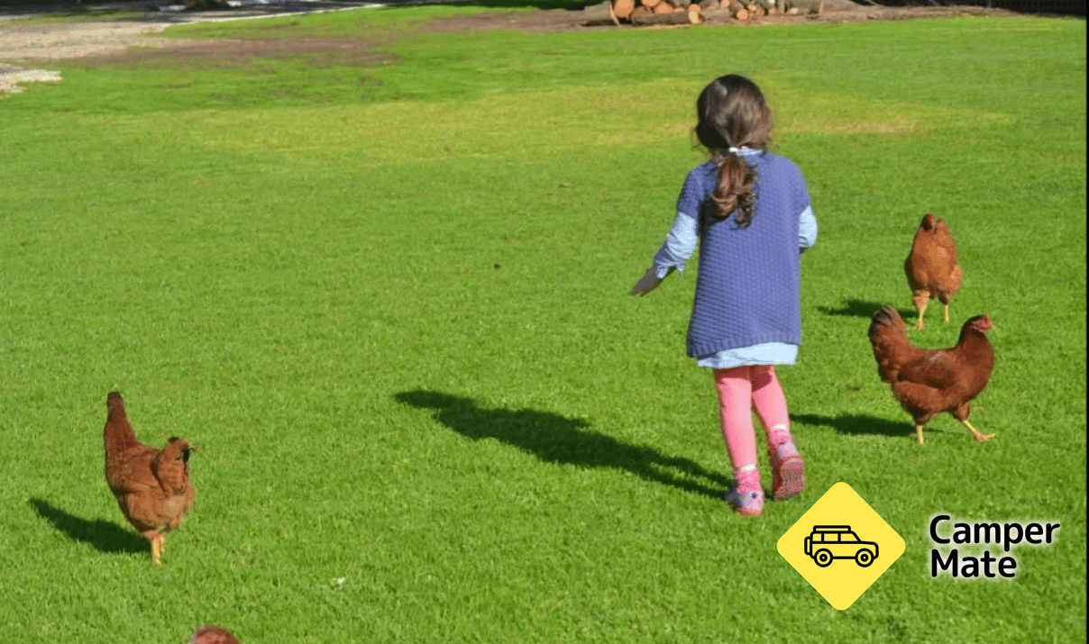 Colac Otway Caravan & Cabin Park
