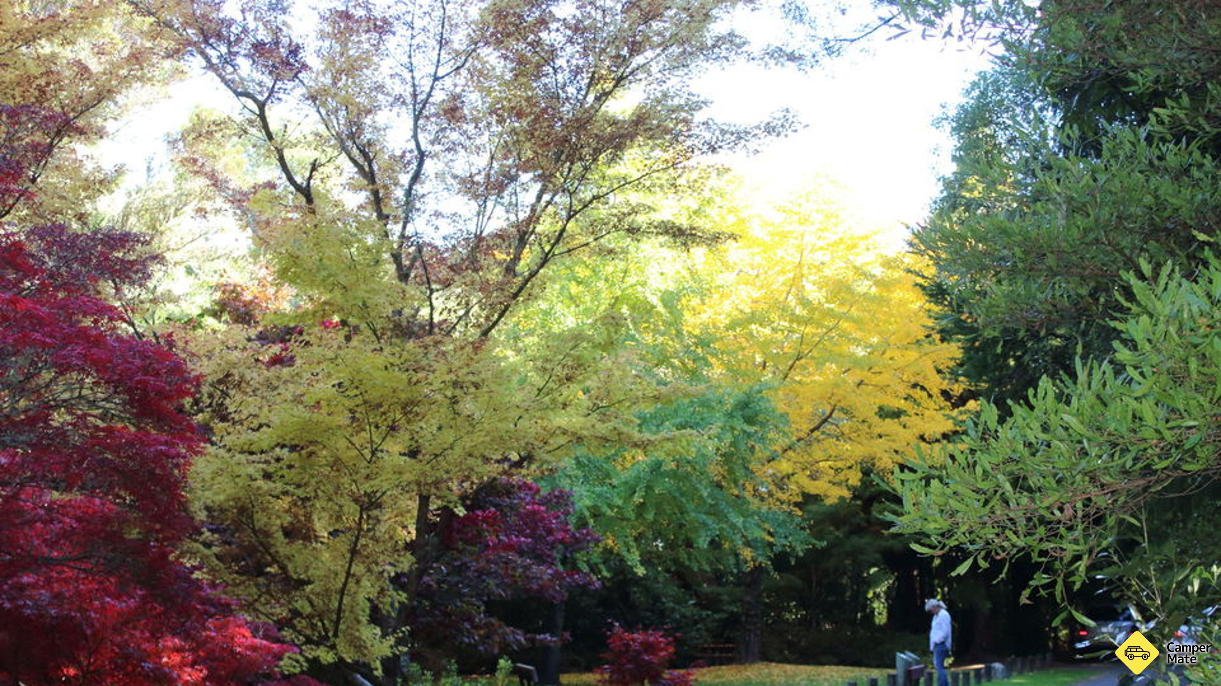 Taupo Waipahihi Botanisches Reservat