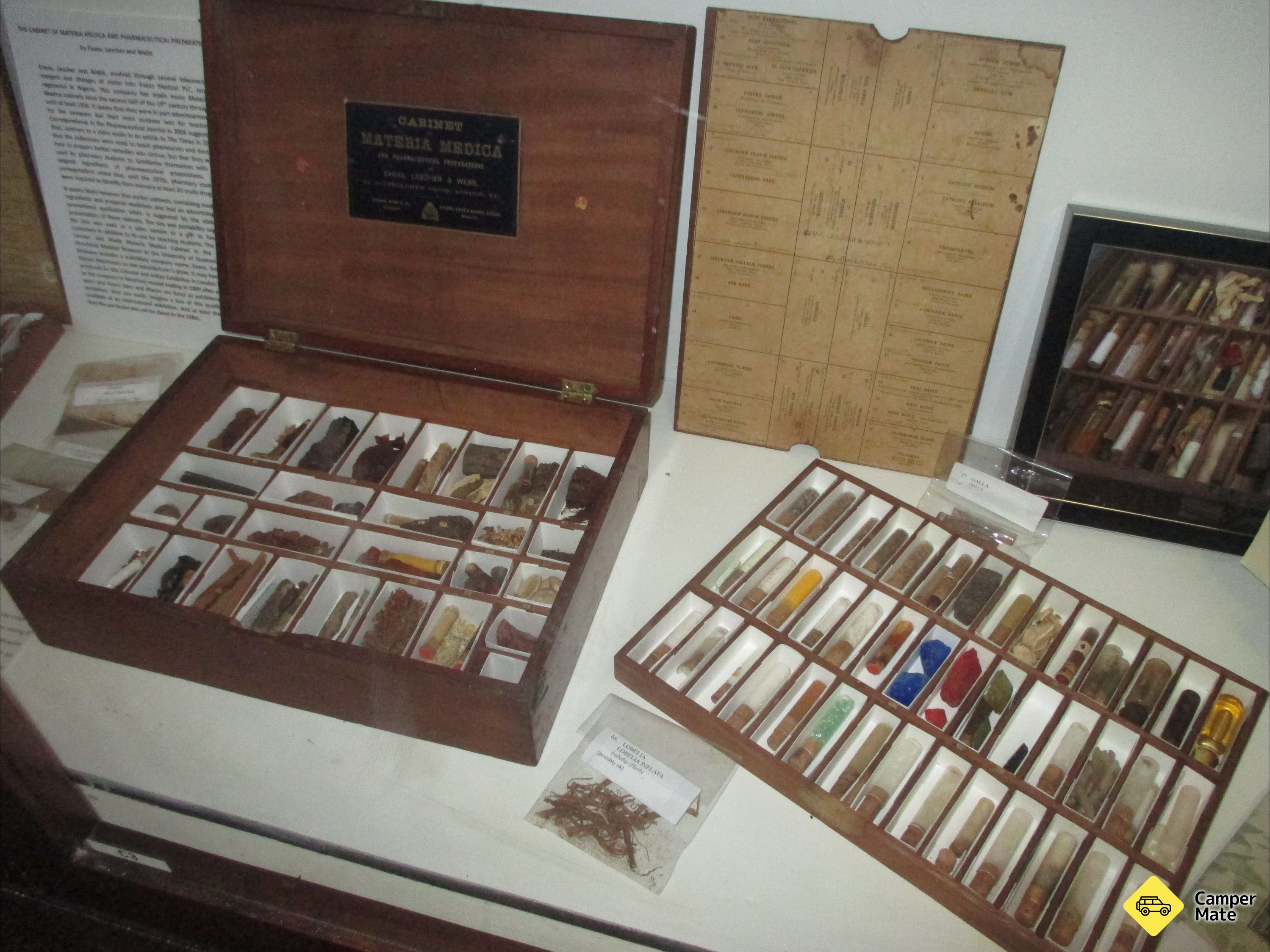 UQ Marks-Hirschfeld Museum