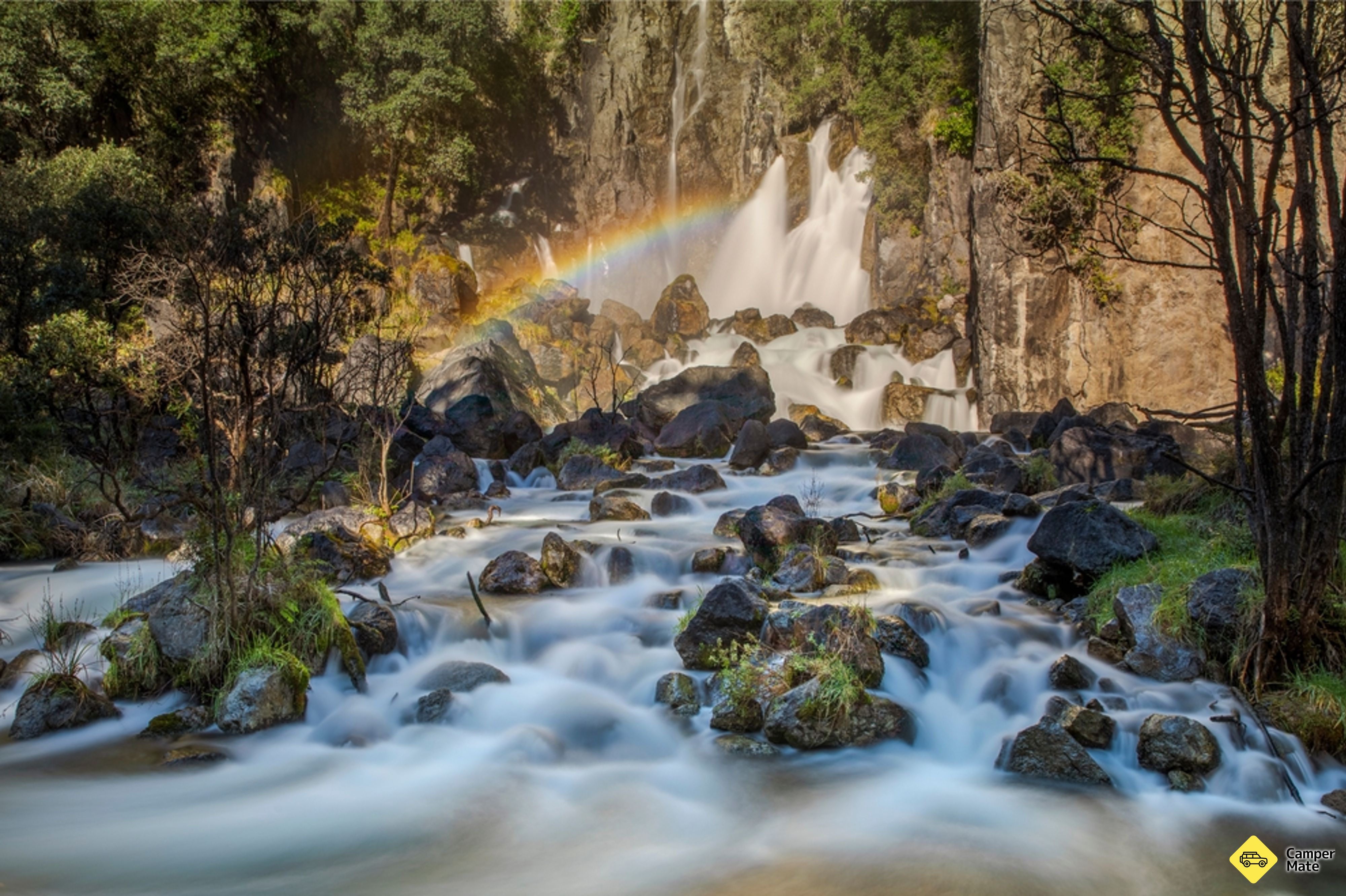 Tarawera Falls Track - Image 2