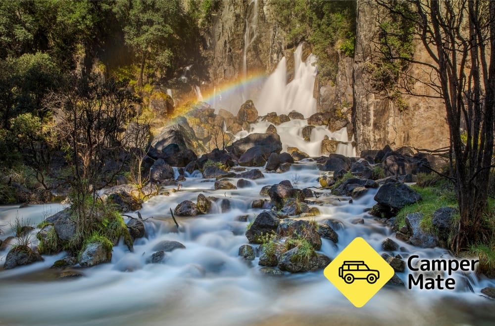 Tarawera Falls Track - Image 2