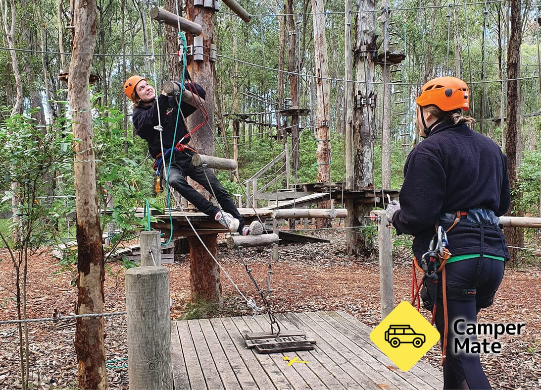 Treetops Adventure Newcastle  - Image 3