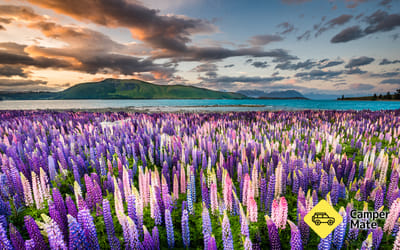 Lake Tekapo Walkway