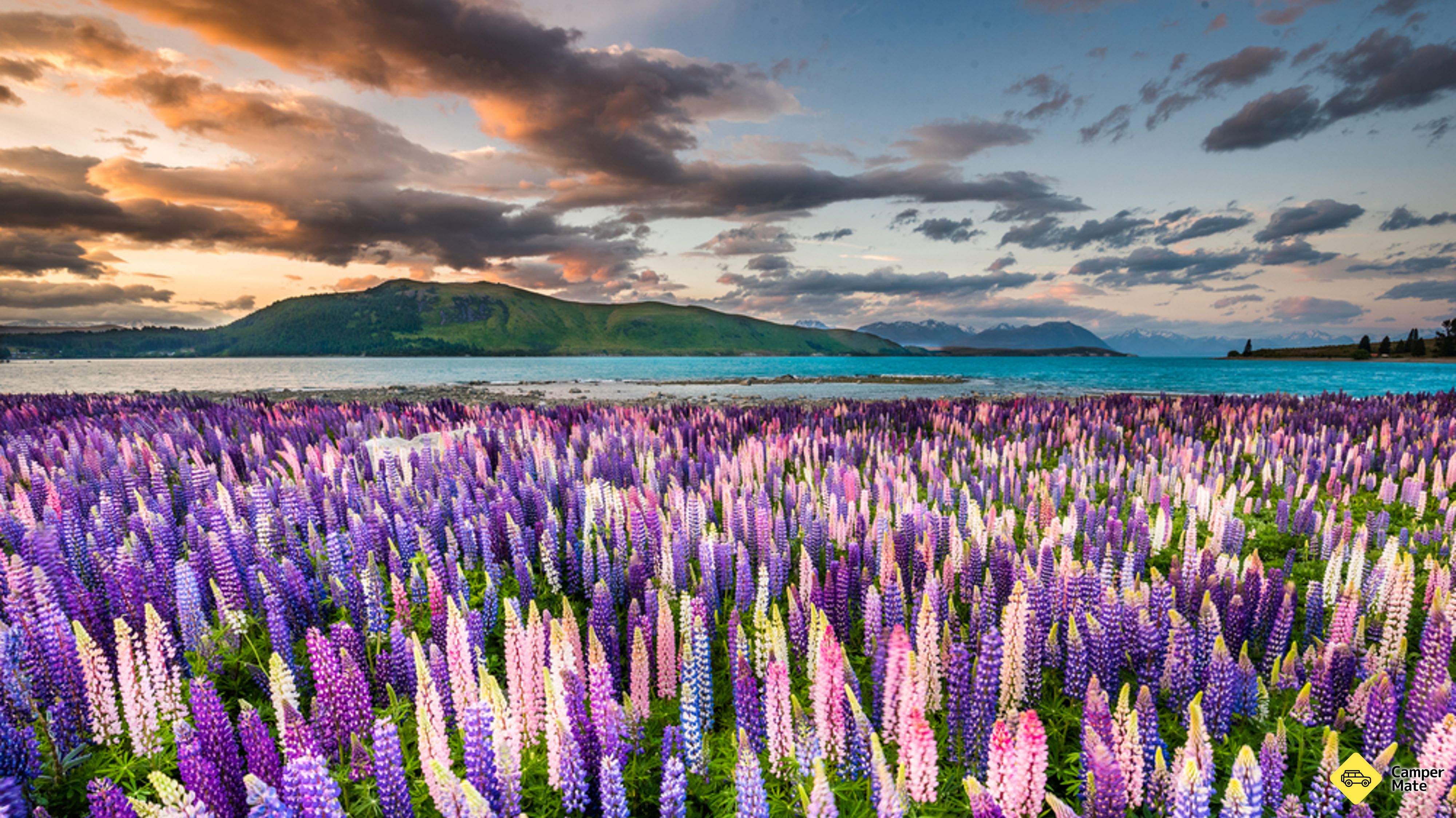 Things To Do And Places To Stay In Lake Tekapo West Coast West Coast Things To Do And Places To Stay In Lake Tekapo West Coast West Coast