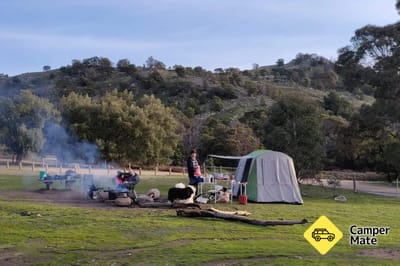 Cork Oaks Picnic Area - Mount Beckworth Scenic Reserve