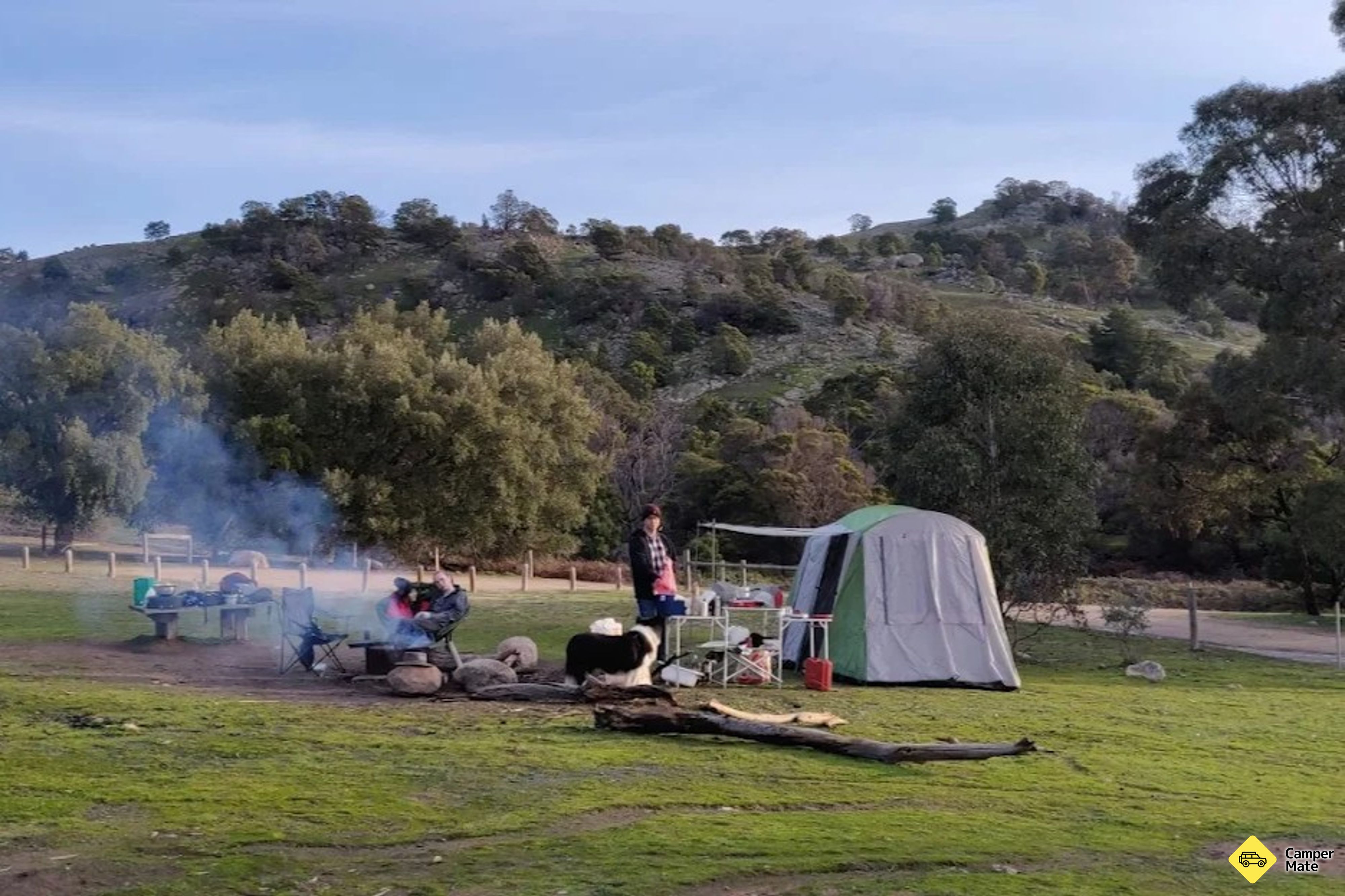 Cork Oaks Picnic Area - Mount Beckworth Scenic Reserve