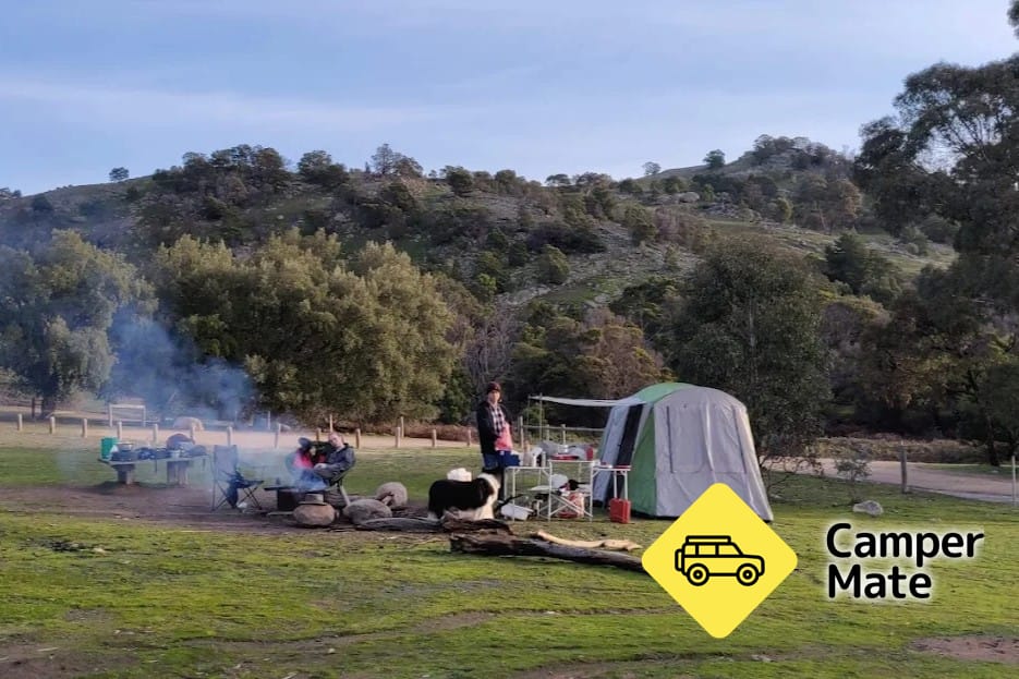 Cork Oaks Picnic Area - Mount Beckworth Scenic Reserve