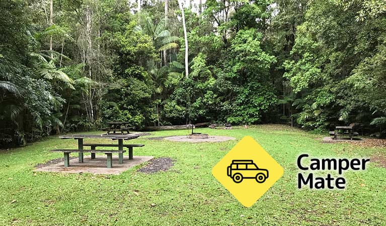 Rummery Park Campground, North Coast NSW, New South Wales, Australia ...
