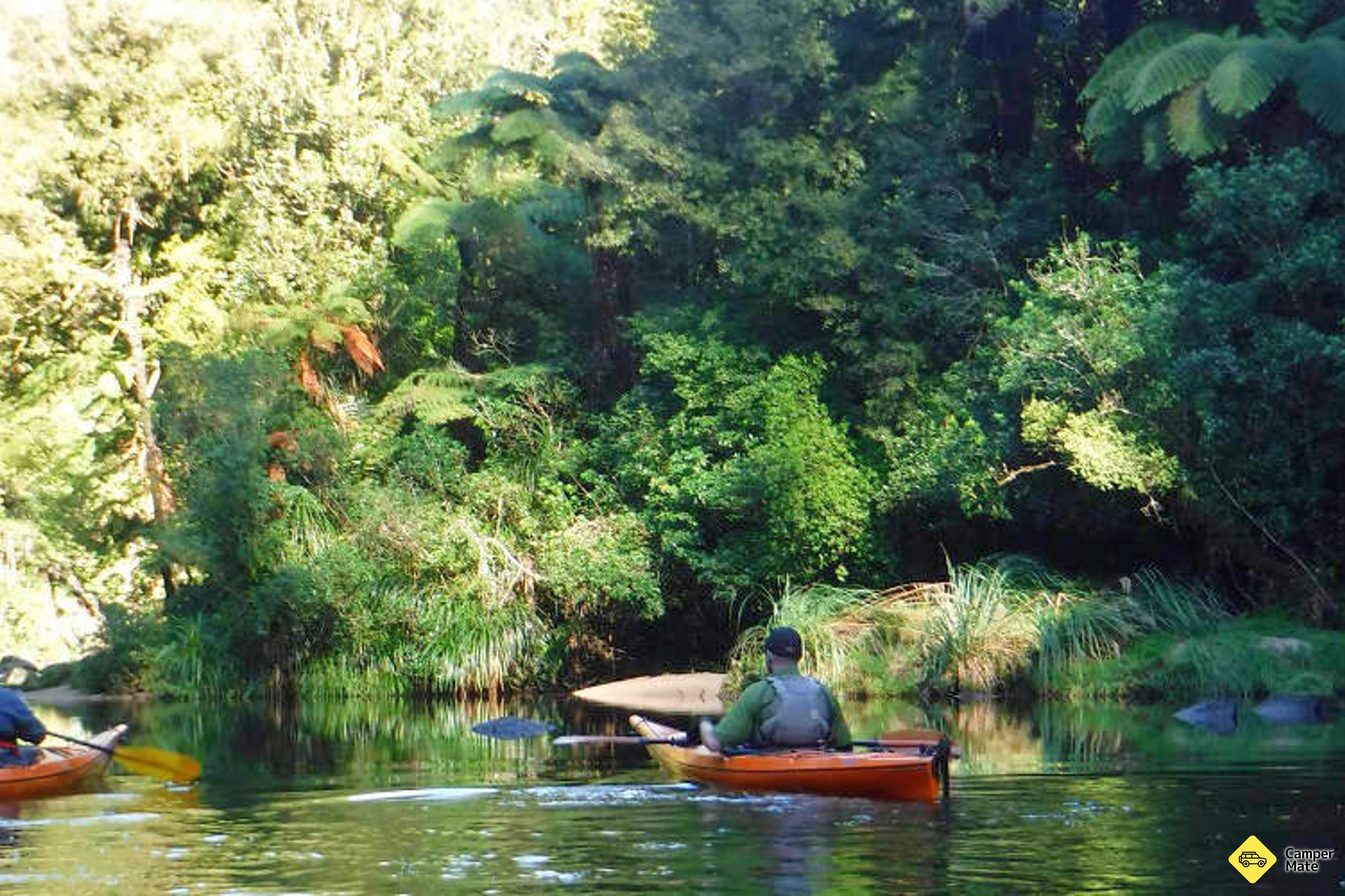 אגם מקלרן Lake Mclaren Kayak Tour - Image 2