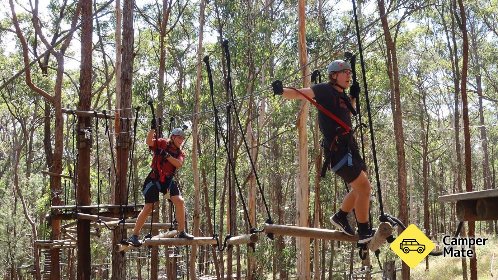 TreeTop Challenge - Tamborine Mountain - Image 2