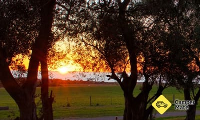BIG4 Cape Jervis Accommodation & Caravan Park