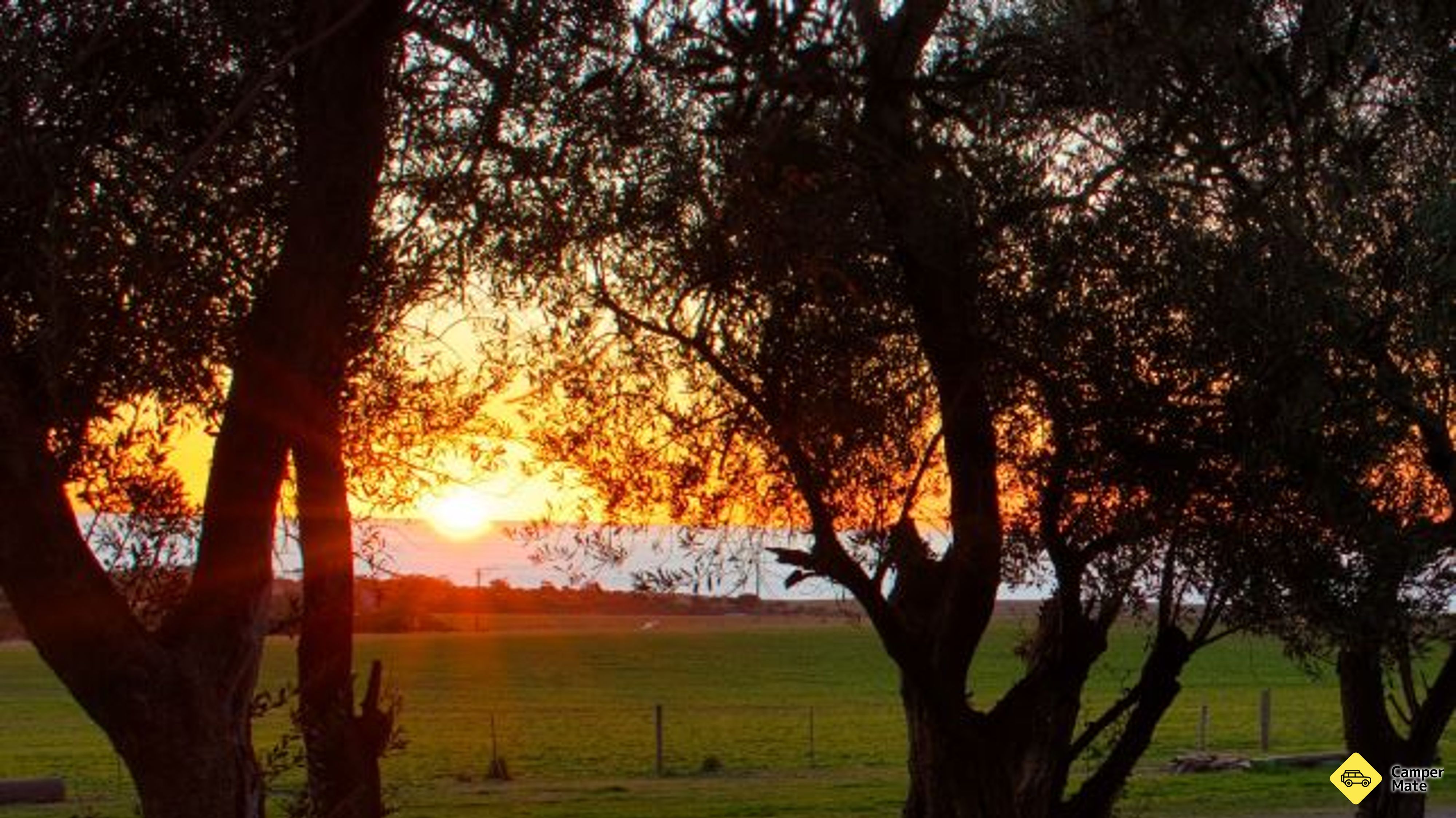 BIG4 Cape Jervis Accommodation & Caravan Park