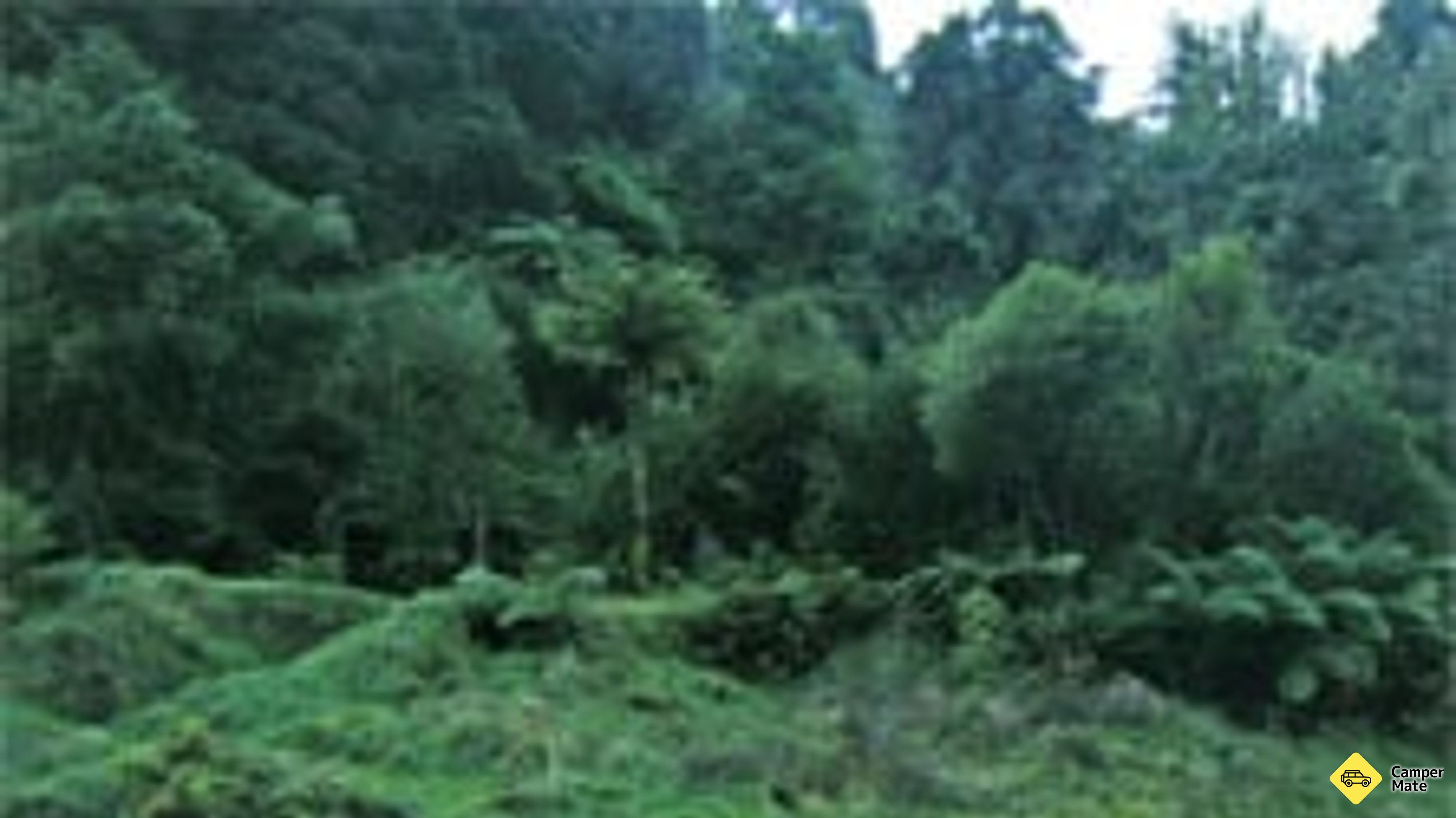 Ngaporo 营地