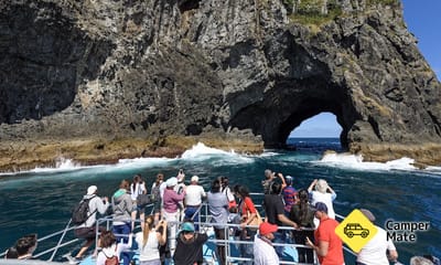Bay of Islands Hole på Rock Dolphin Cruise
