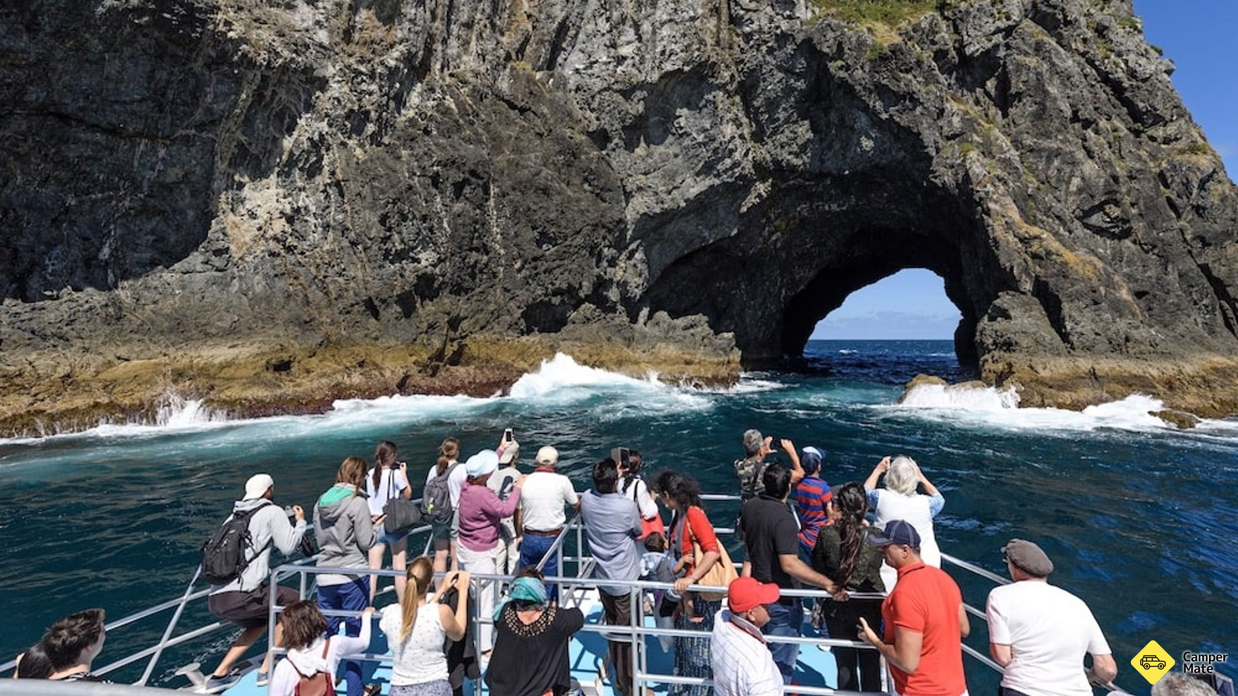 岛屿湾洞在岩石海豚巡航