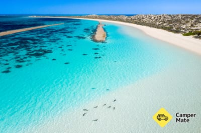 Coral Bay
