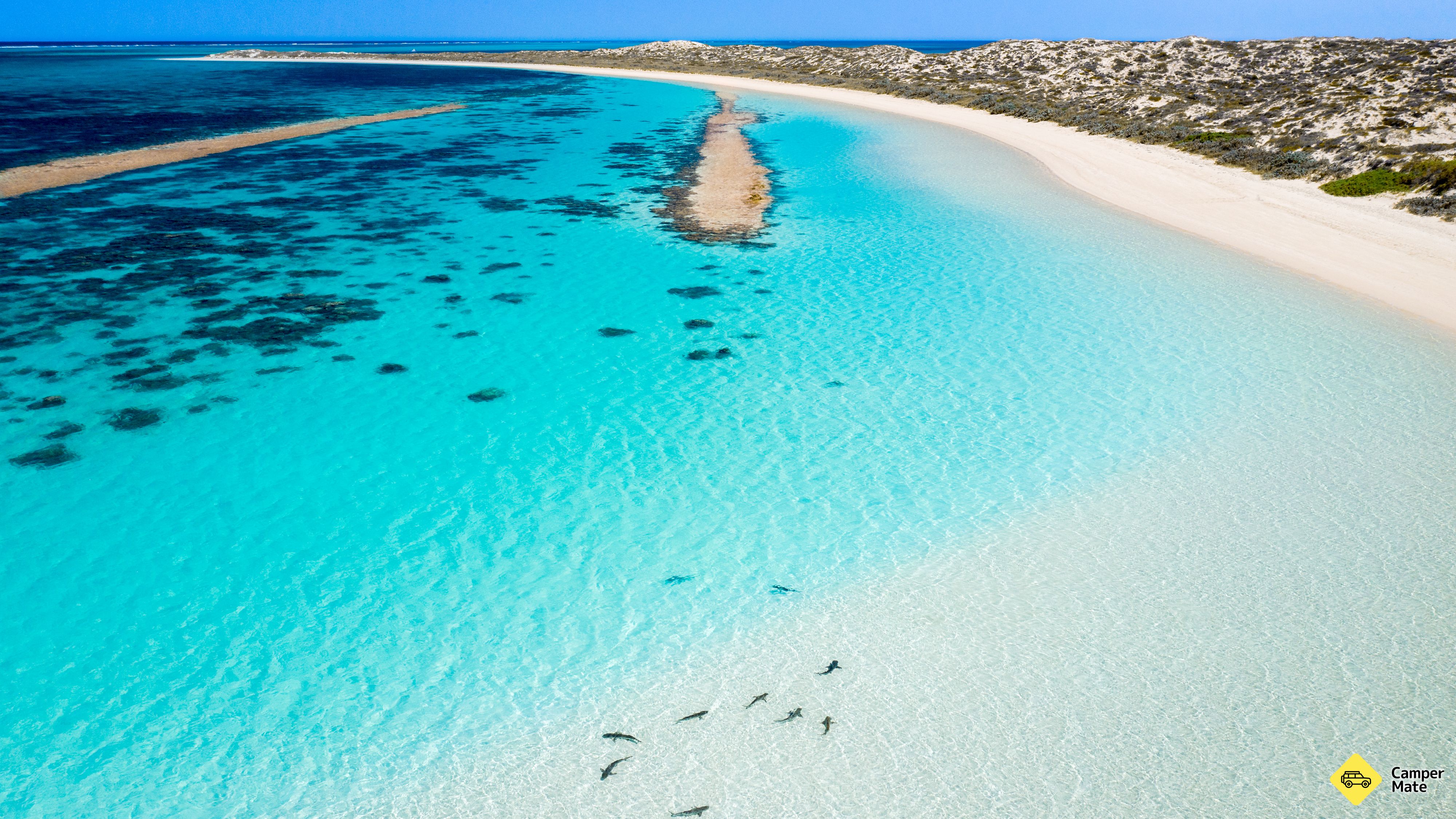 Coral Bay