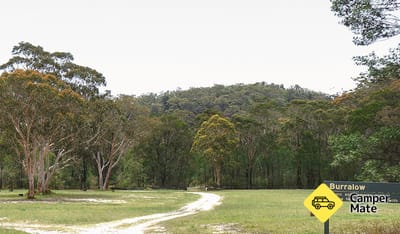 Boorolong Creek Camp Area