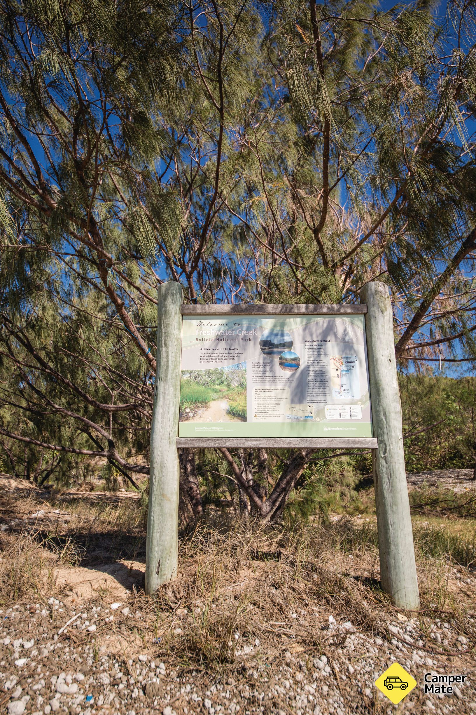 Freshwater Creek track -  Byfield National Park - Image 3