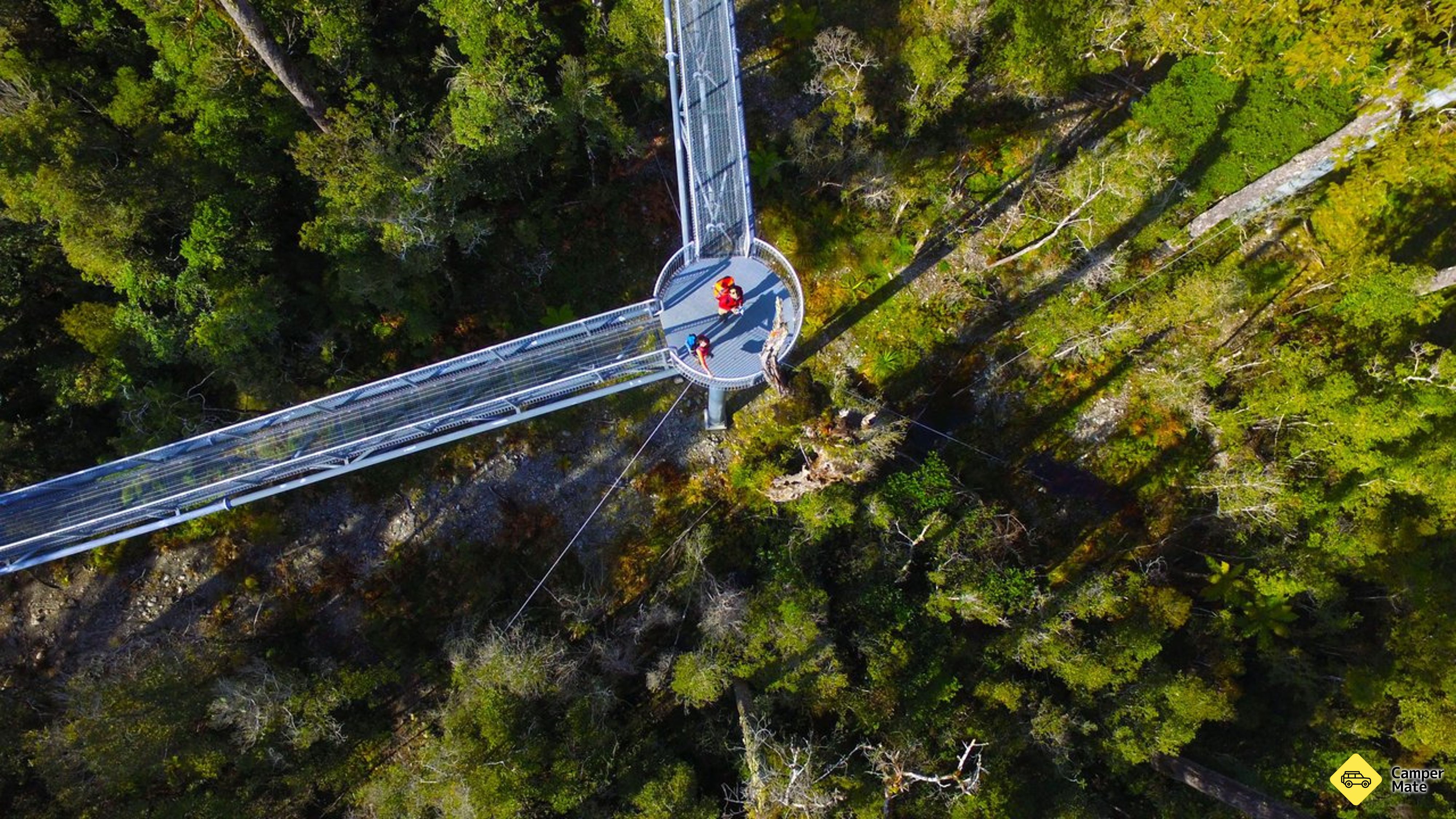 West Coast Treetop Walk, Cafe & Tower Zipline
