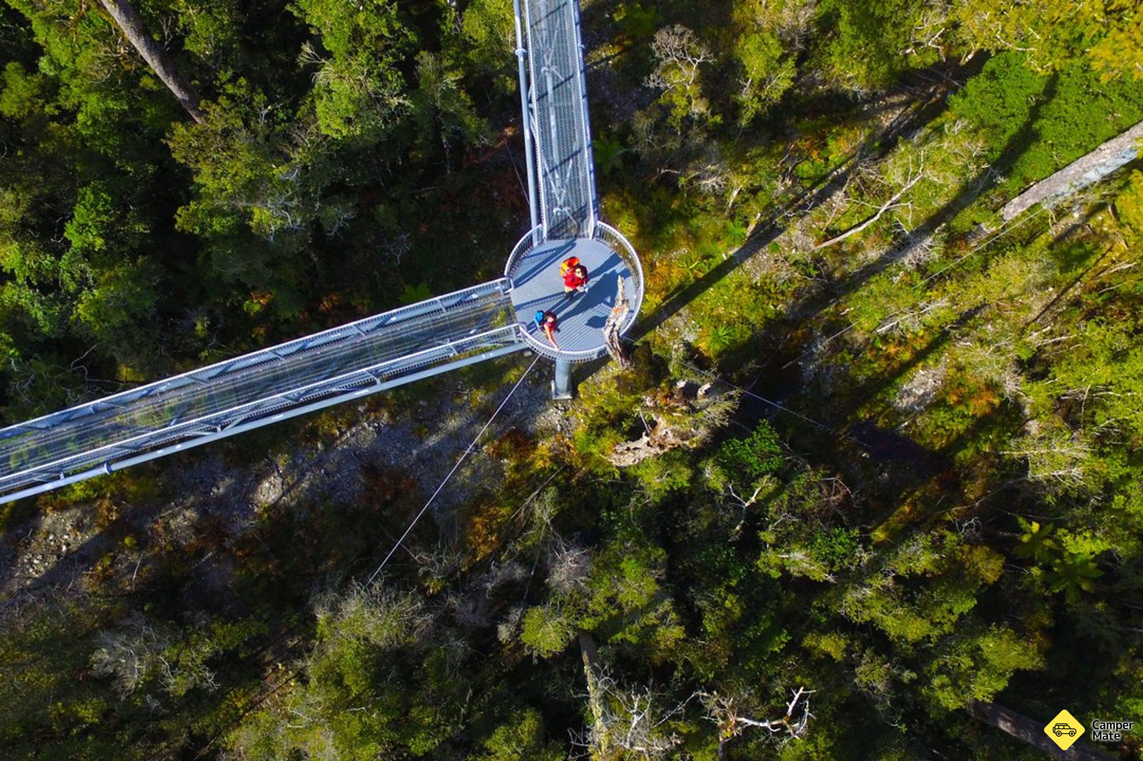 West Coast Treetop Walk, Cafe & Tower Zipline