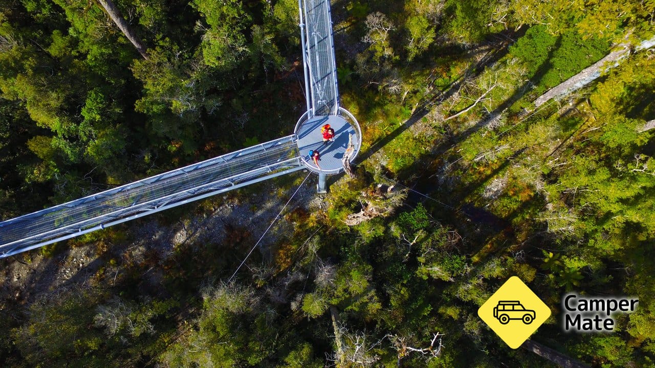 West Coast Treetop Walk, Cafe & Tower Zipline