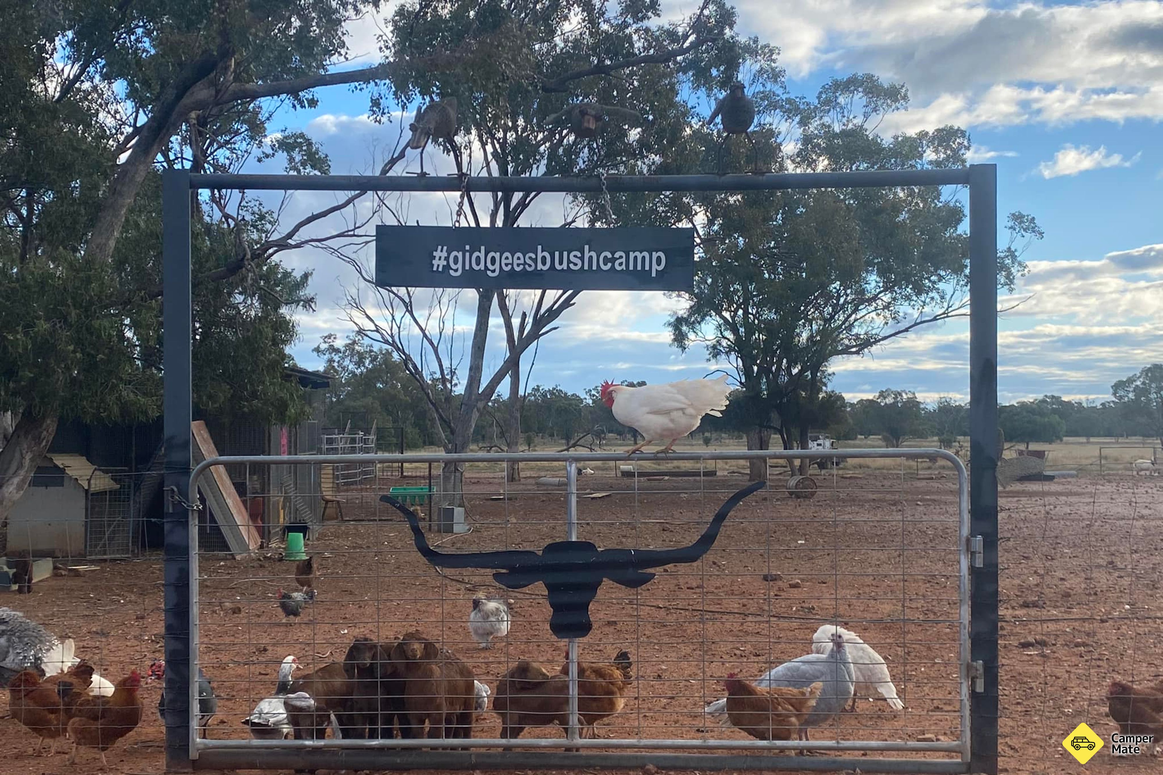 Gidgee's Bush Camp - Image 3