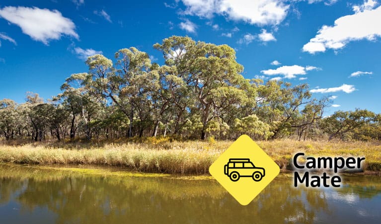 Kings Plains Creek Campground - Image 3