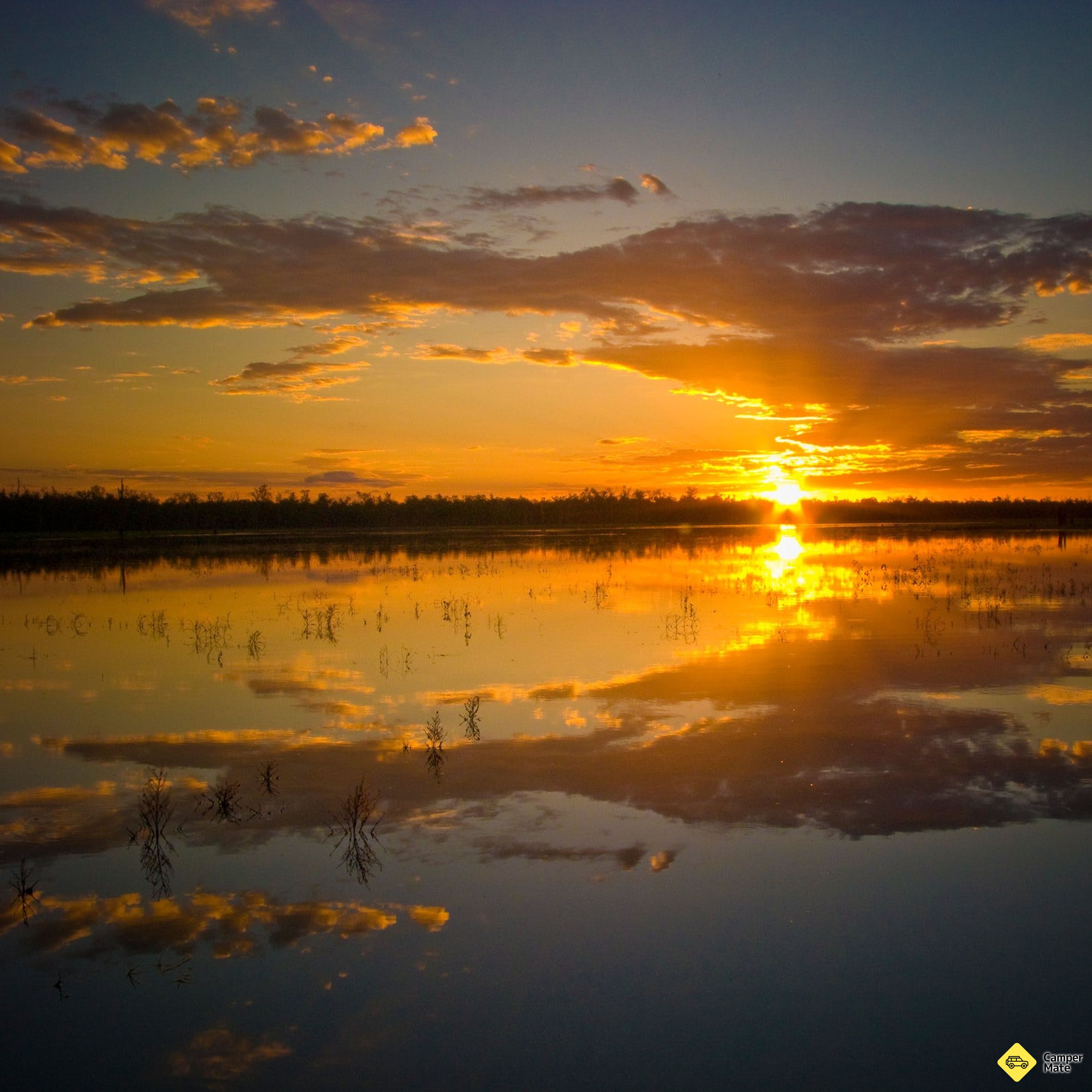 Lake Murphy Conservation Park - Image 2