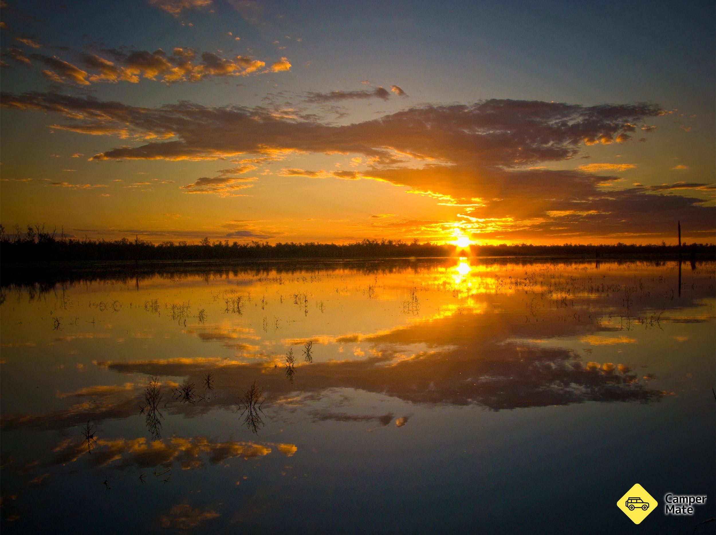 Lake Murphy Conservation Park - Image 2