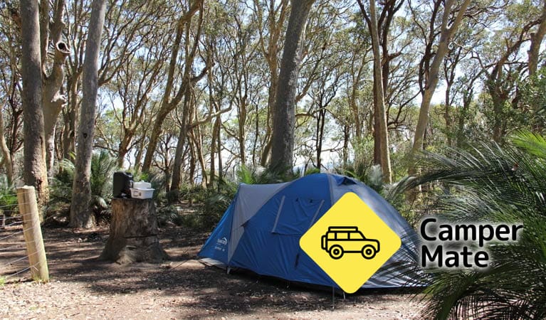 North Head Campground - Image 3