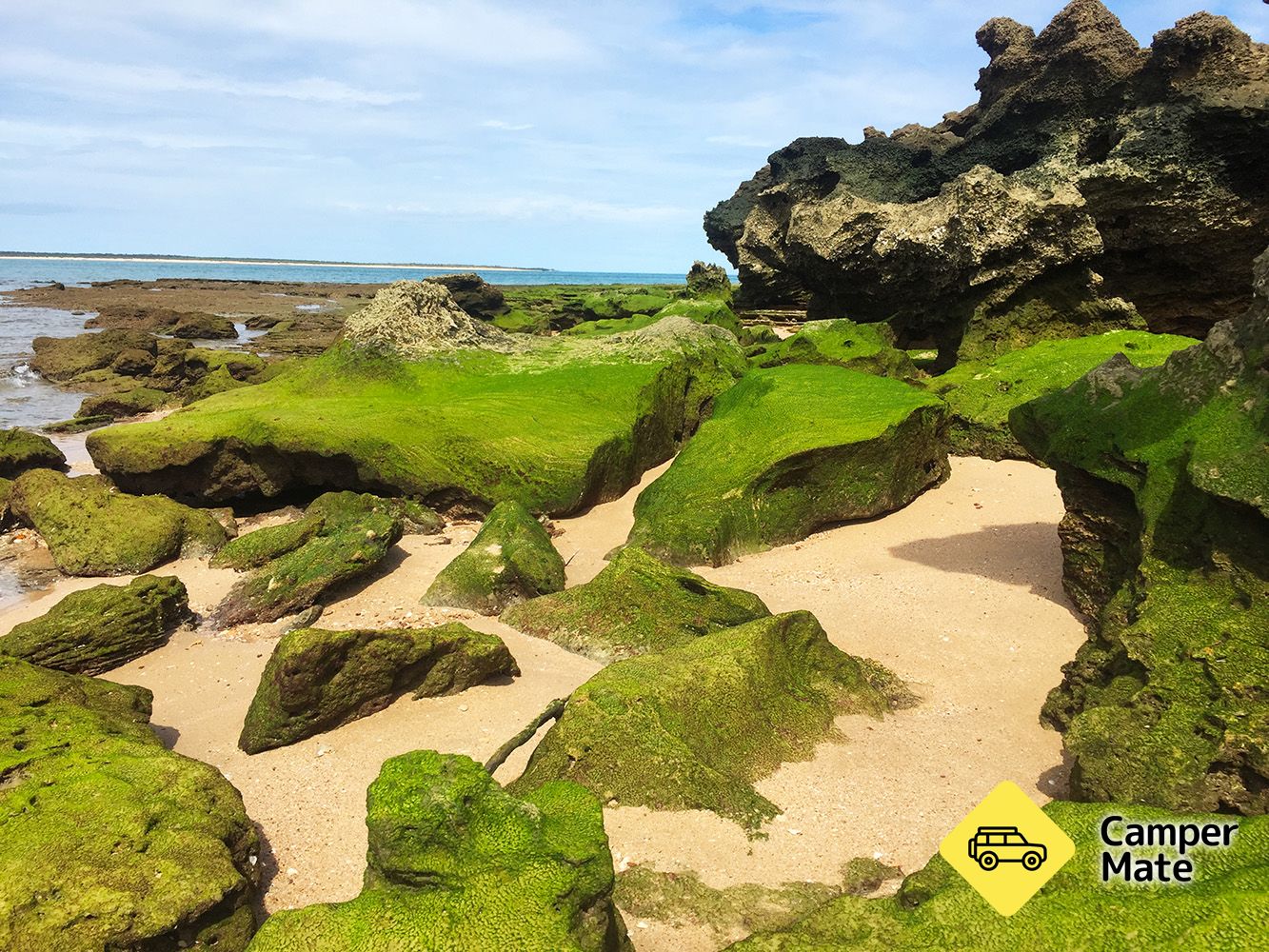 Wirrwawuy (Cape Wirrawoi) Recreational Area - Image 2