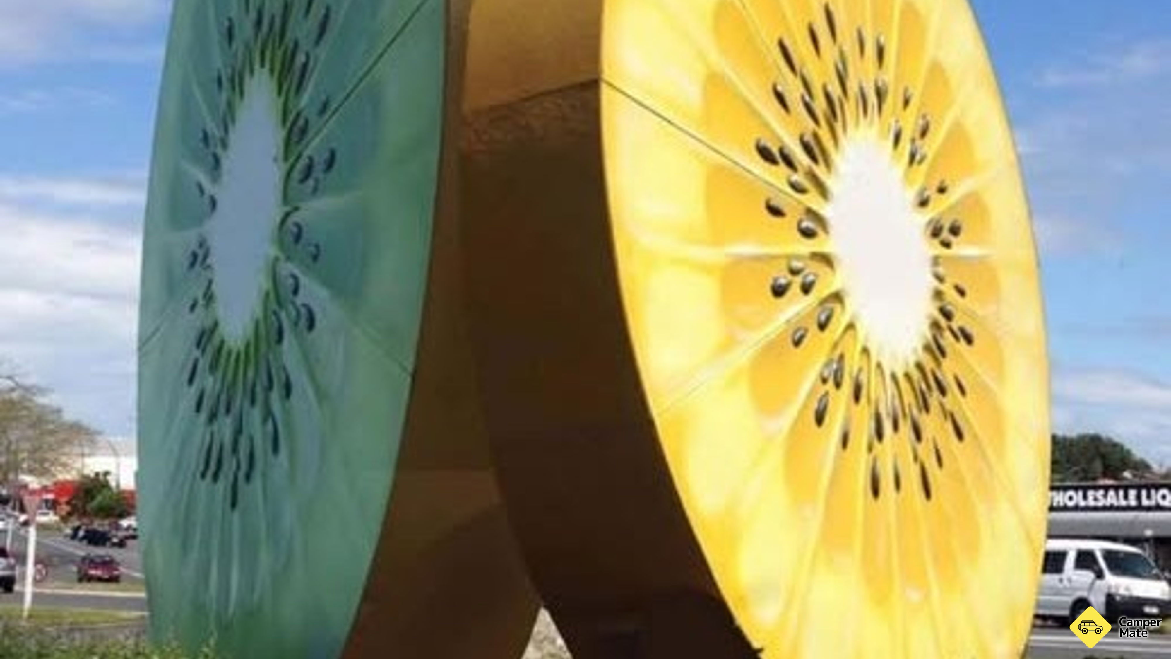 Jättimäinen Kiwifruit Te Puke
