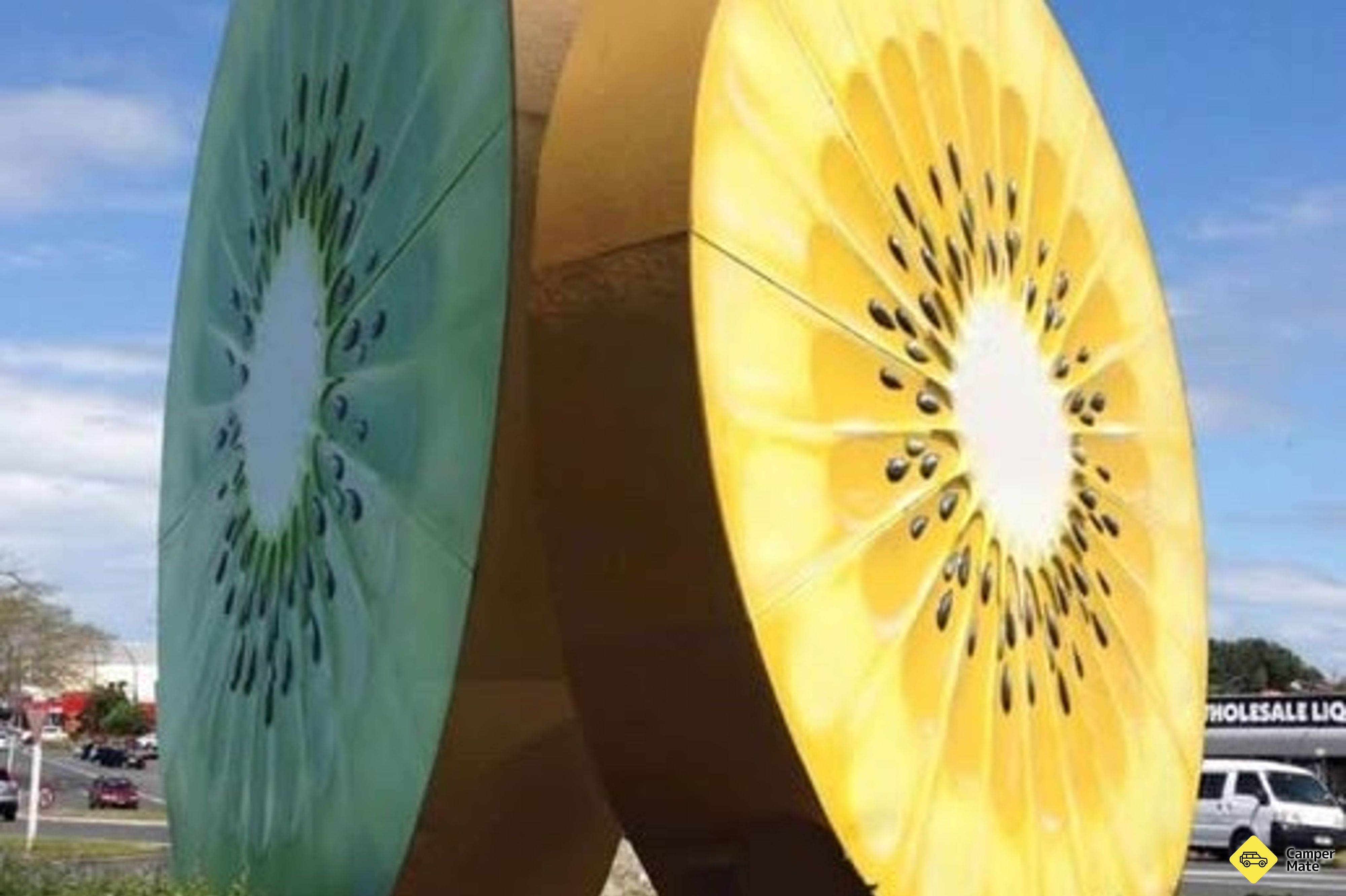 Jättimäinen Kiwifruit Te Puke