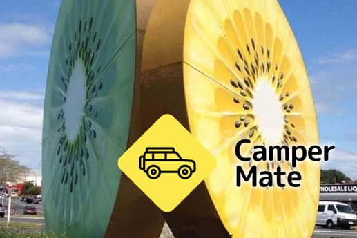 Giant Kiwifruit Te Puke