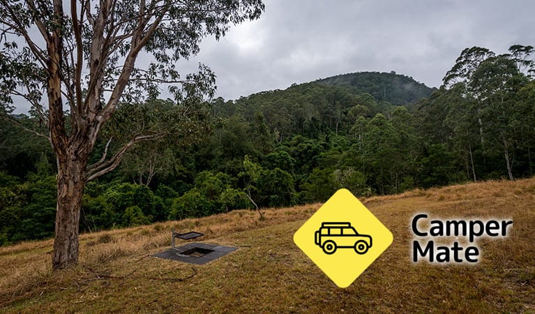 Jacky Barkers Campground - Image 2