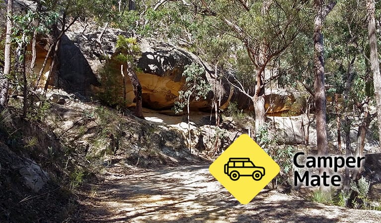 Sheepskin Hut Campground - Image 2