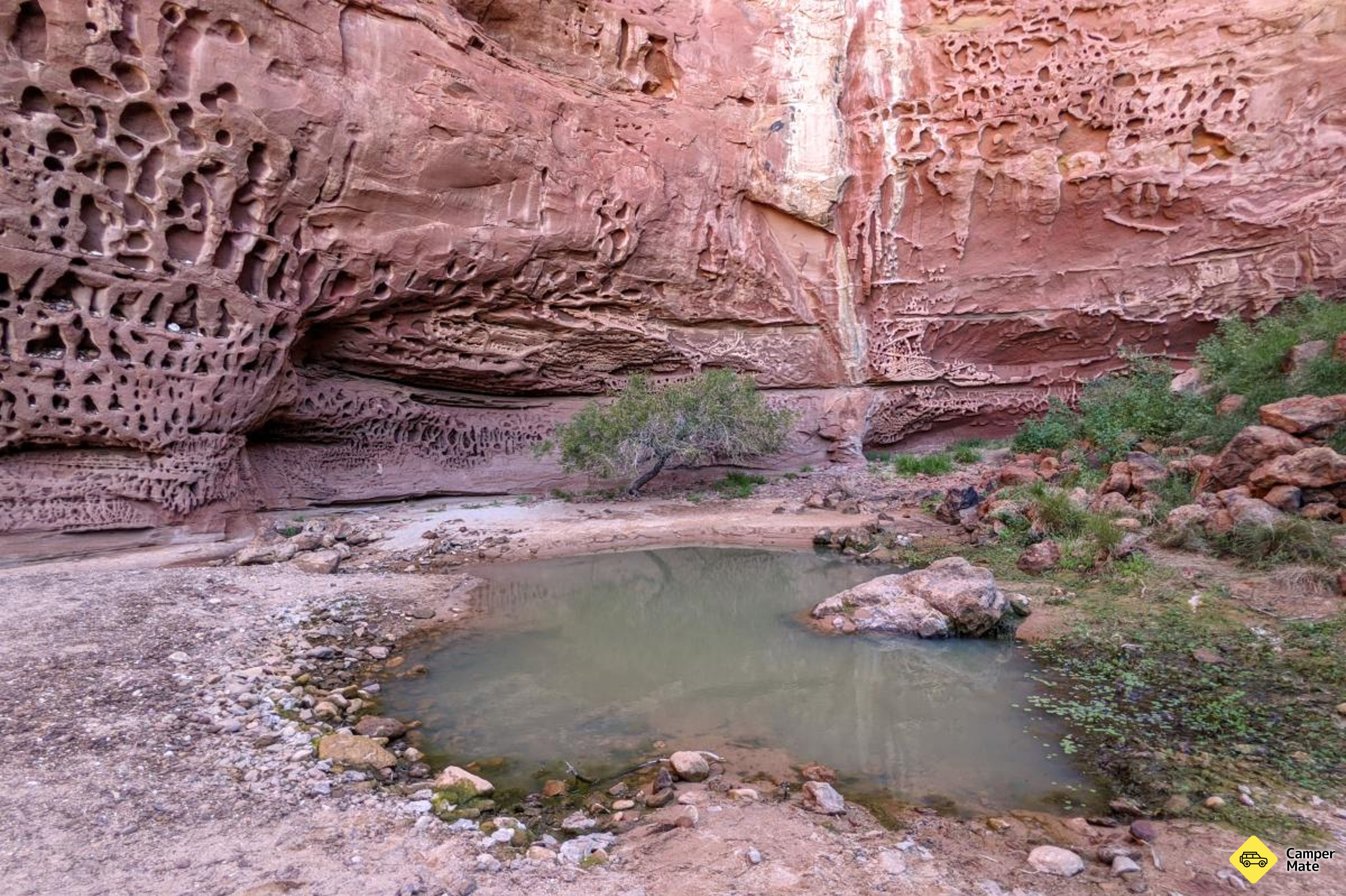 Honeycomb Gorge Trail के बारे में राय - Image 2