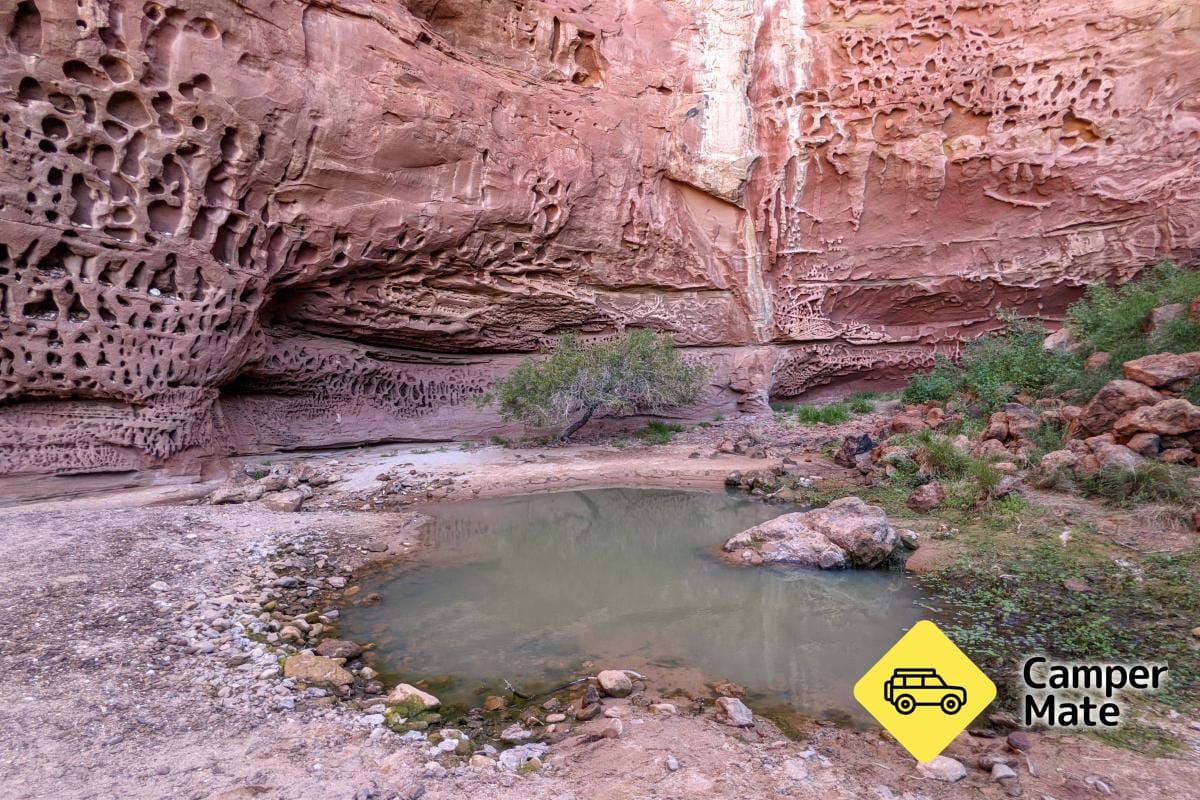 Honeycomb Gorge Trail - Image 2