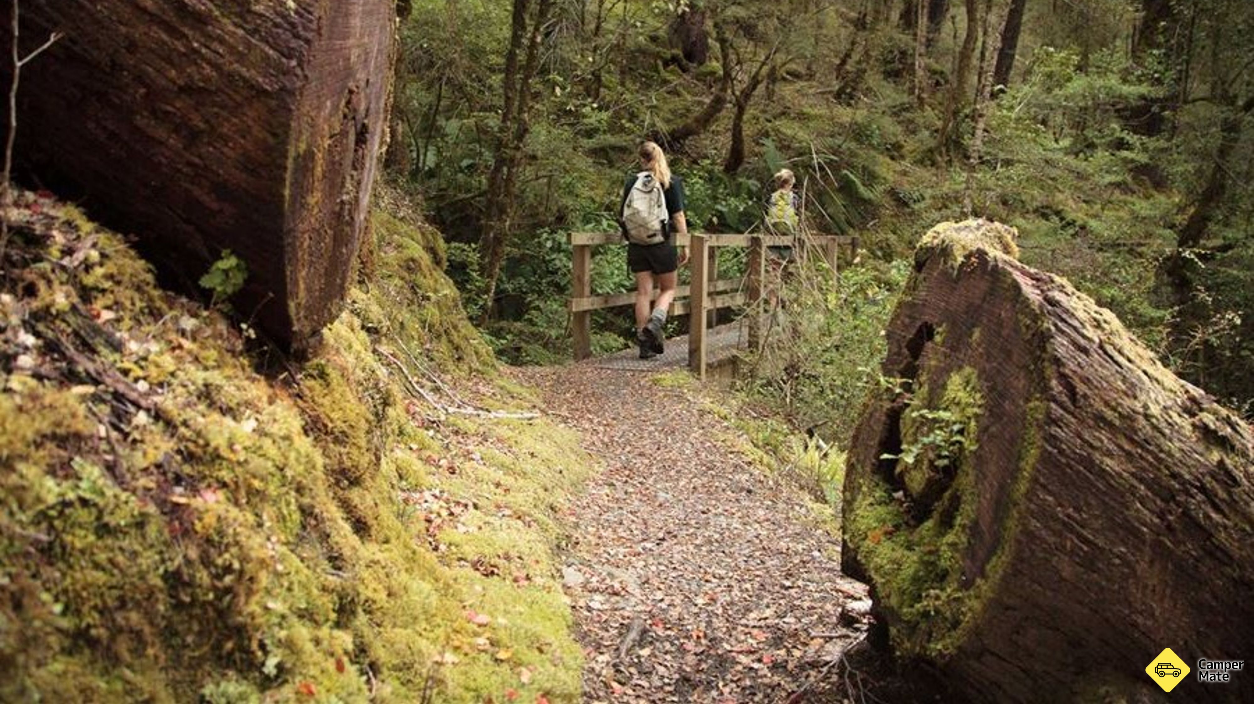 Lake Daniell Track