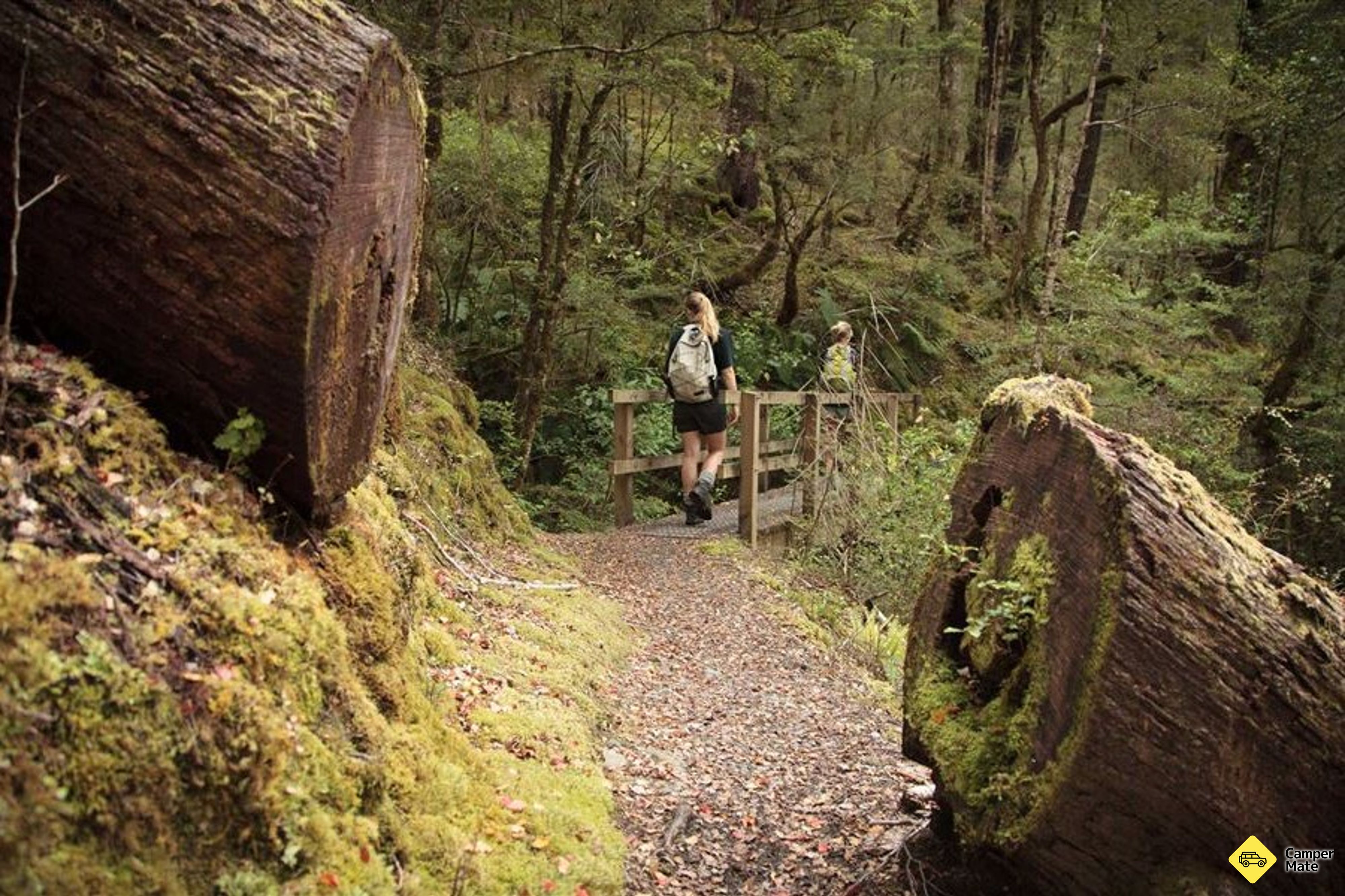 Lake Daniell Track