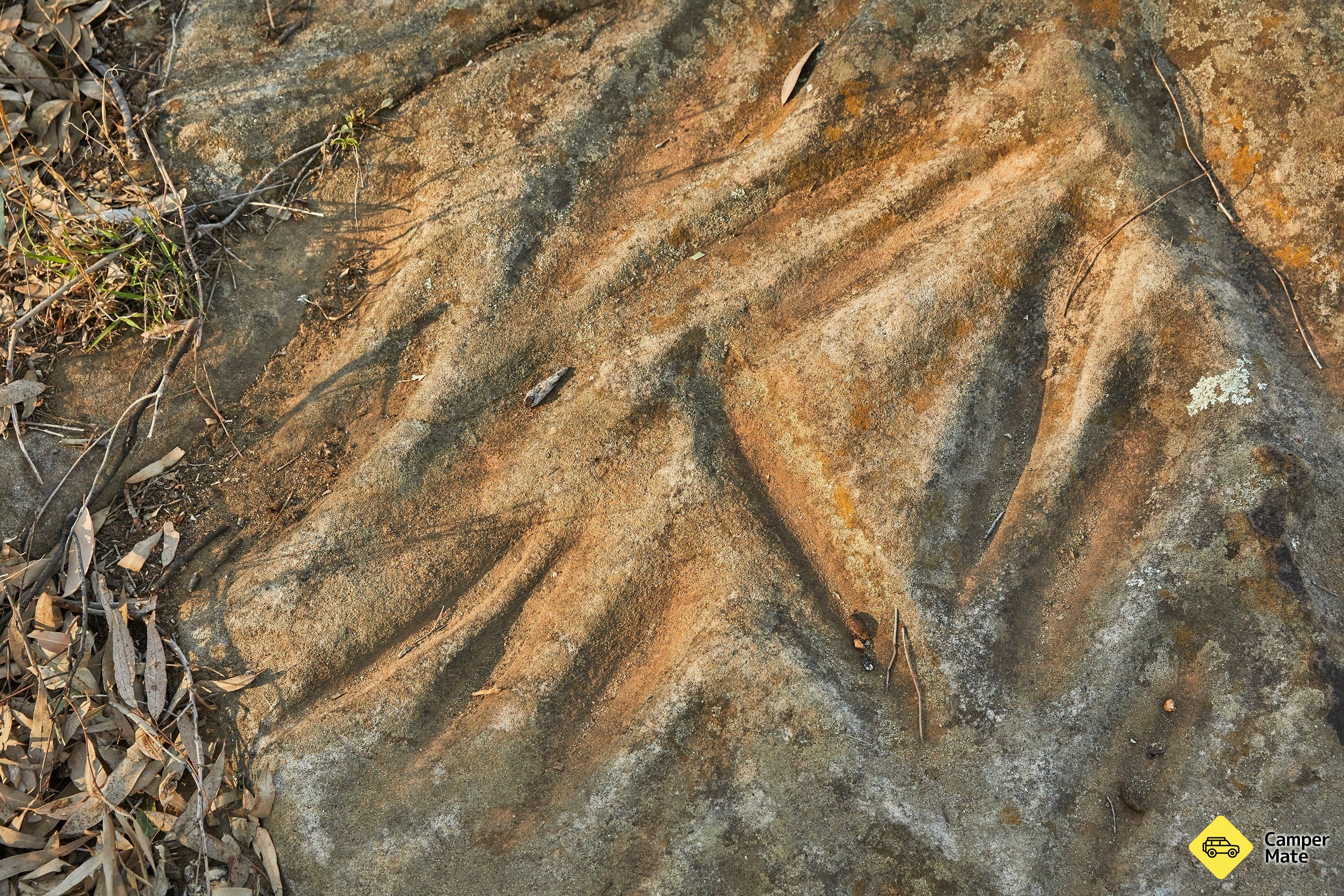 Om Terramungamine Rock Grooves - Image 2