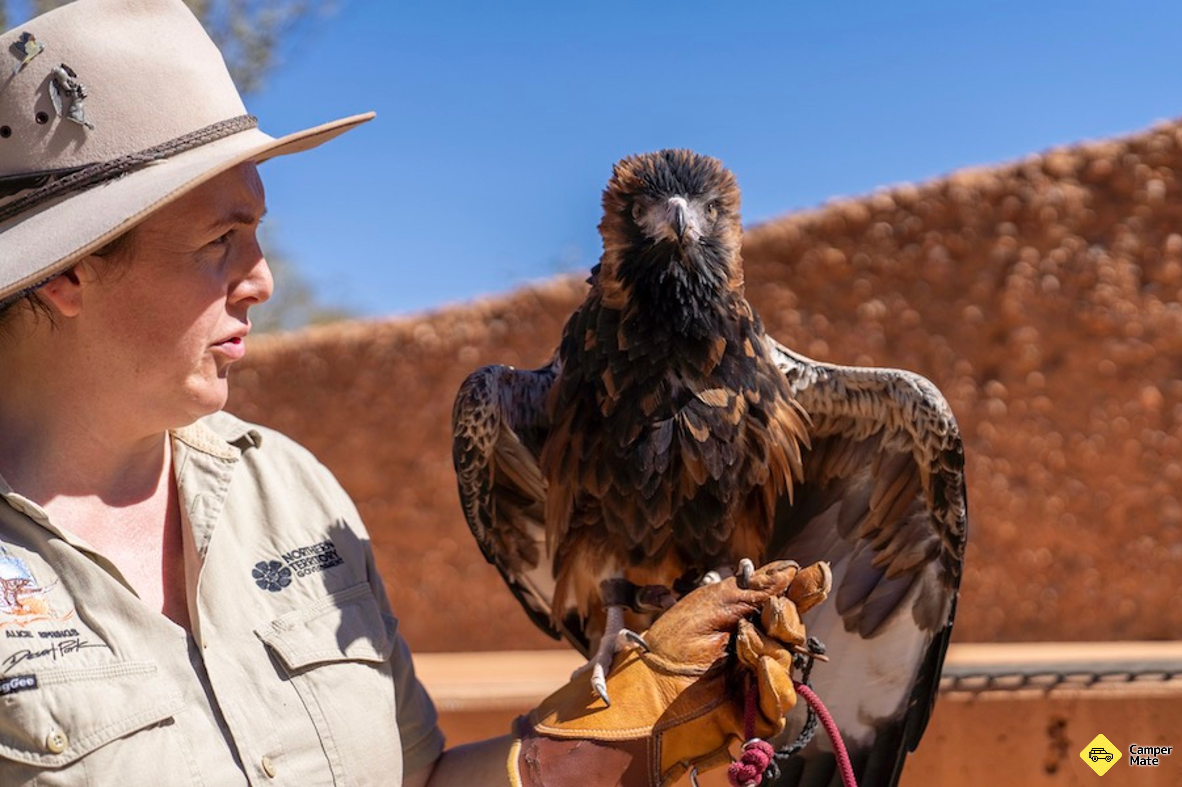 Activiteiten in de omgeving van Alice Springs Desert Park - Image 2