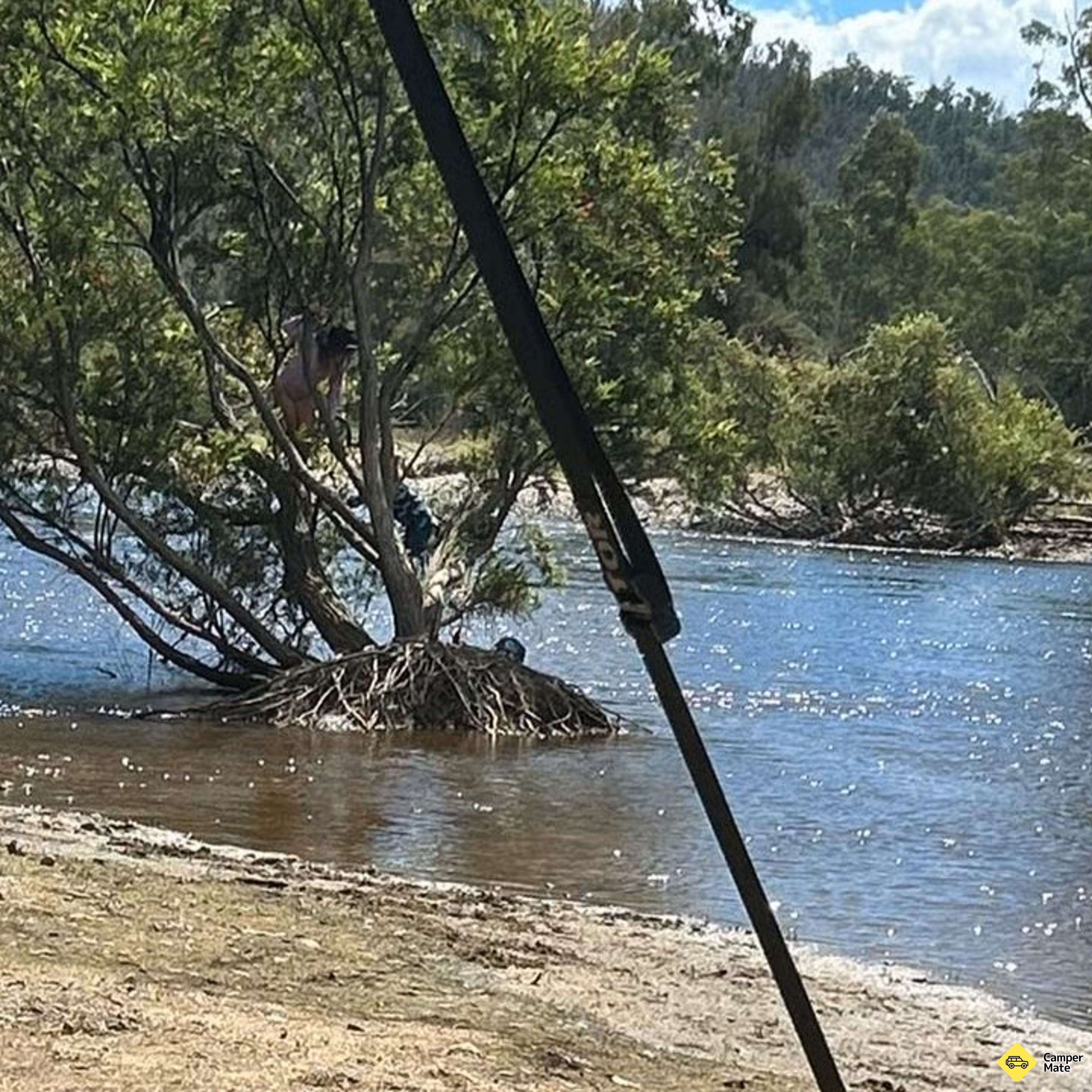 Bora Crossing - Gwydir River Free Camping Area - Image 2