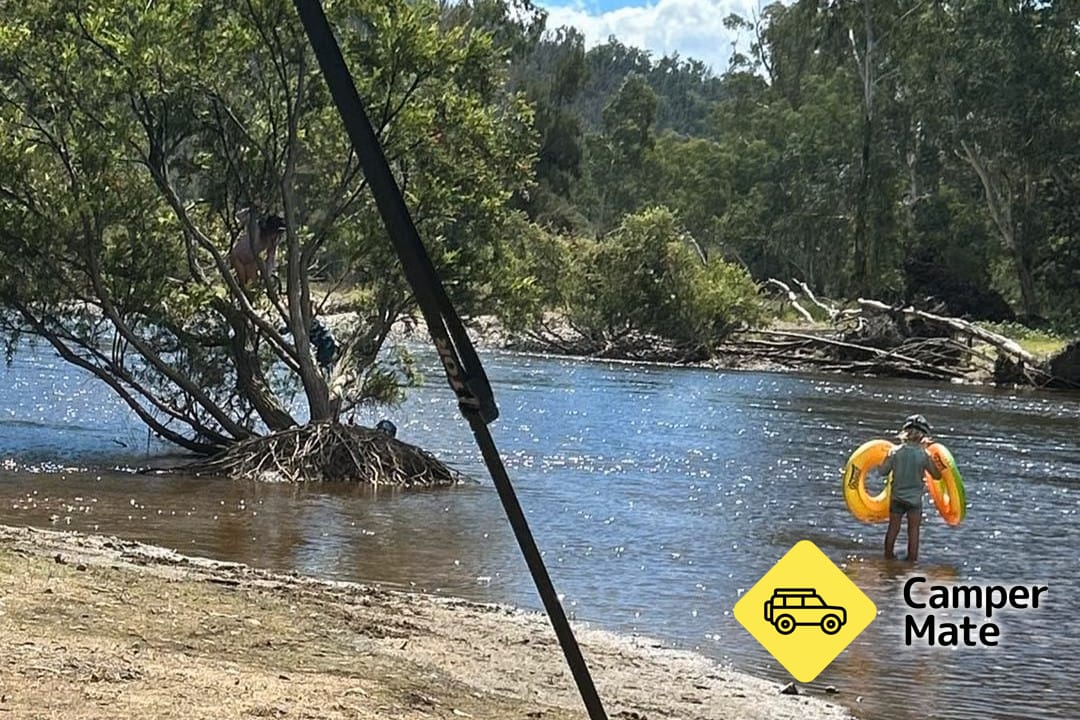 Bora Crossing - Gwydir River Free Camping Area - Image 2