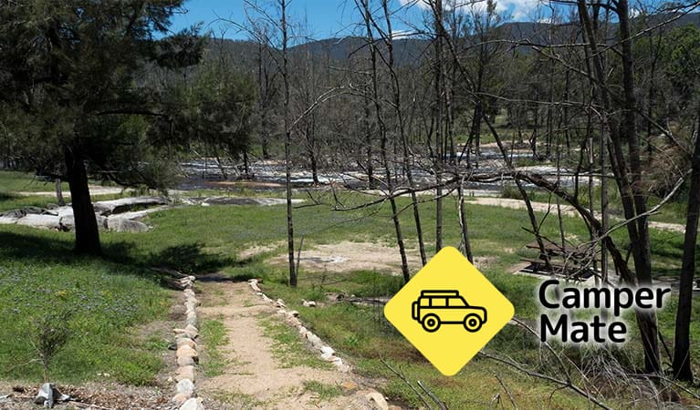 Mann River Campground - Image 2