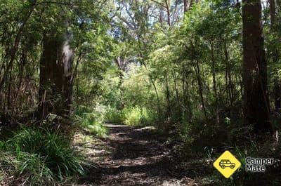 Mt Clare Track