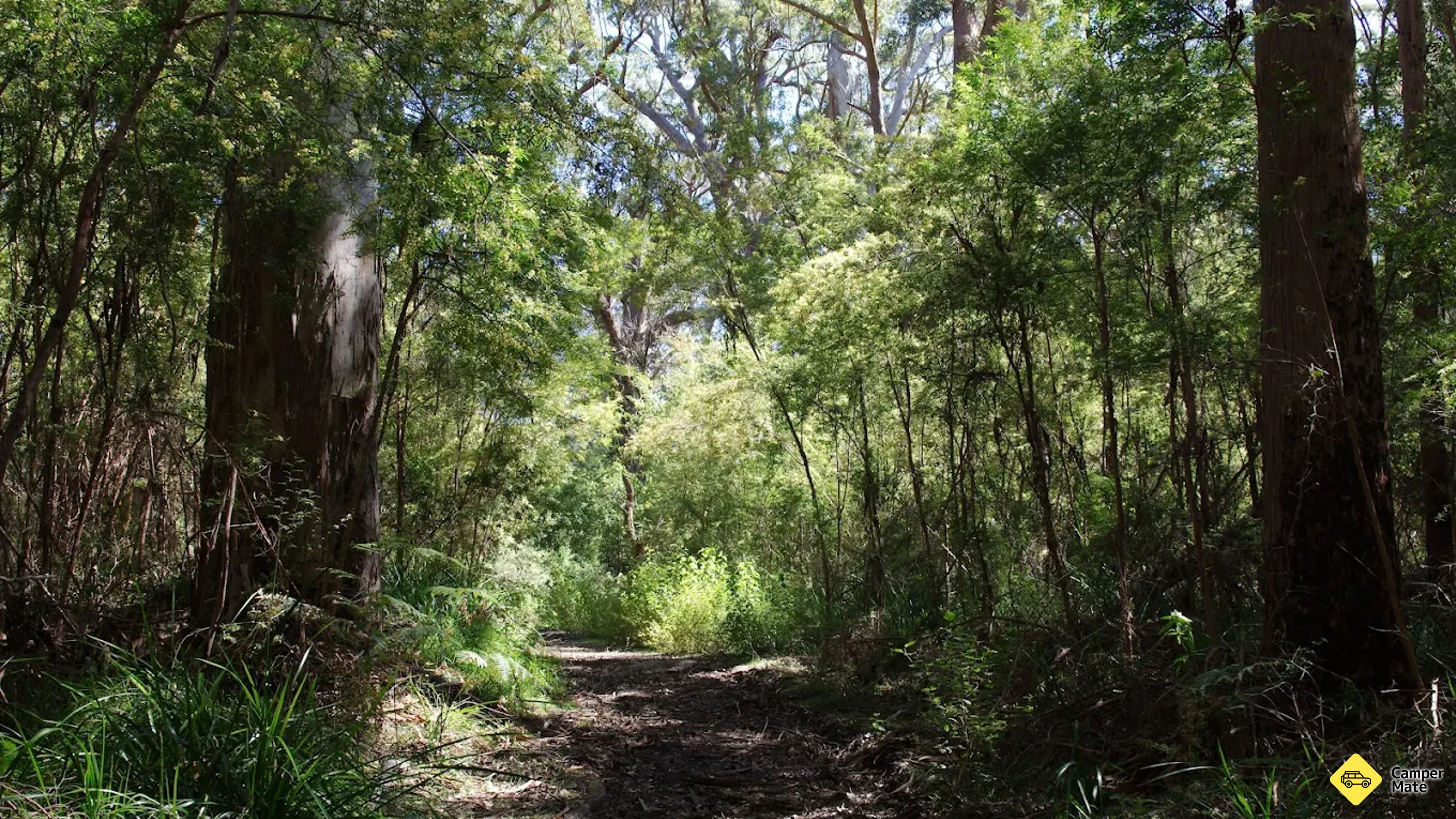 Mt Clare Track