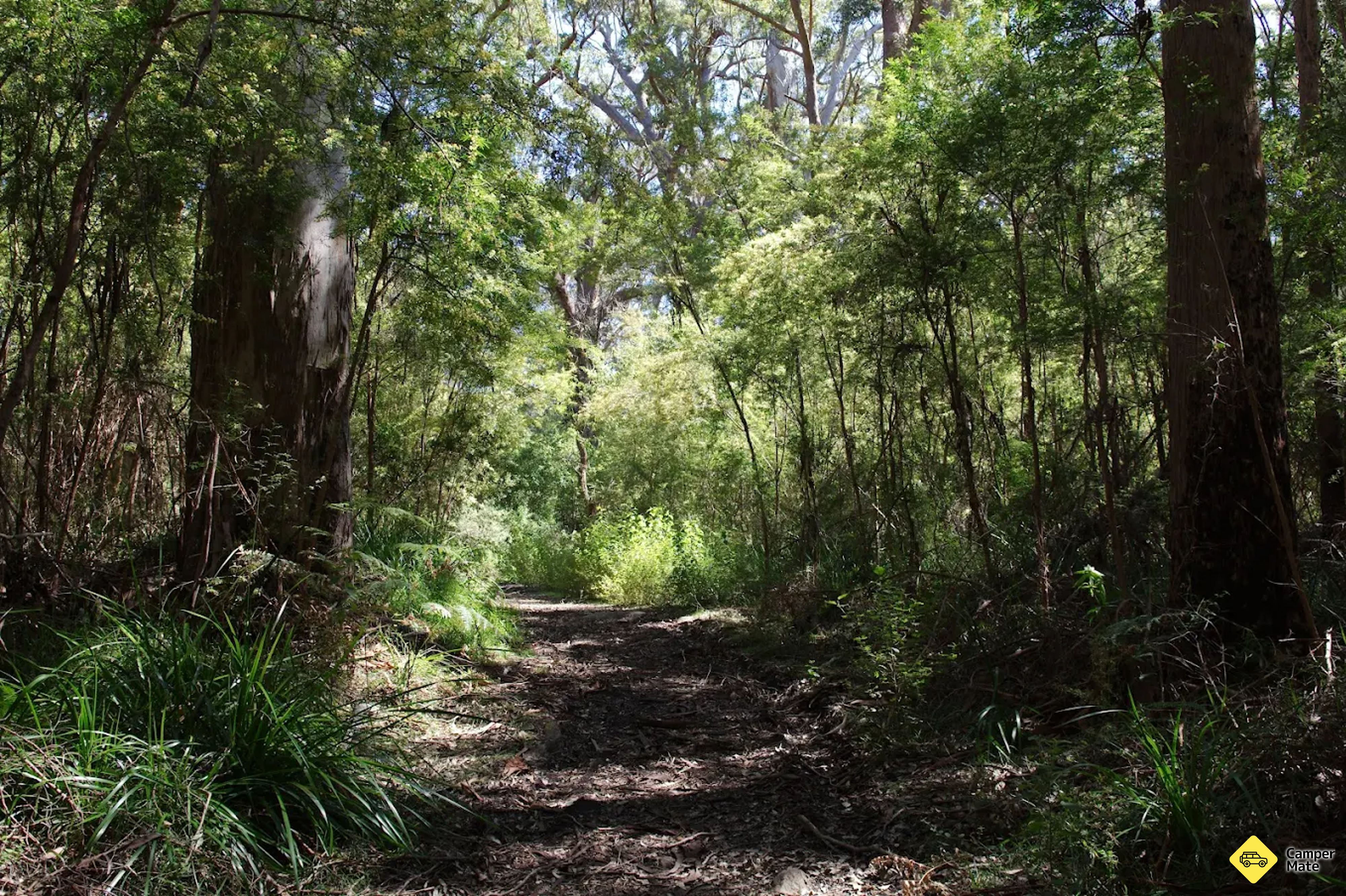 Mt Clare Track